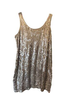 Woman's Worthington Dress Sleeveless Lined Sequin Knee Length Silver 1X Bodycon